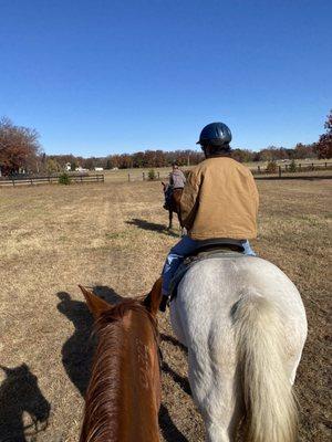 Handy Acres Farm