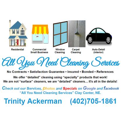 All You Need Cleaning Services