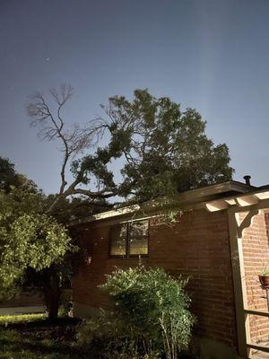 Aaron's Tree Service