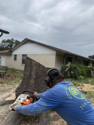 Lopez Tree Service