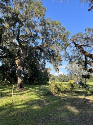 West Coast Land and Timber