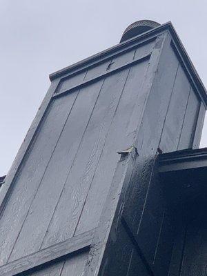 All-Pro Painting & Home Services