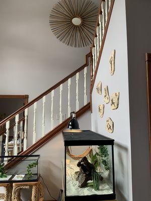 Big Time Real Estate