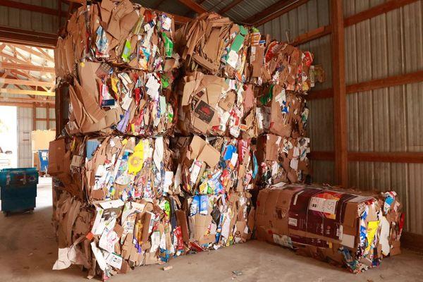 Reliable Sanitation Service