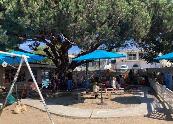 The Learning Tree Preschool