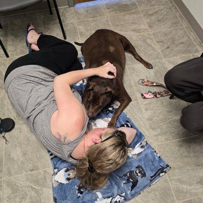 Mayville Animal Clinic