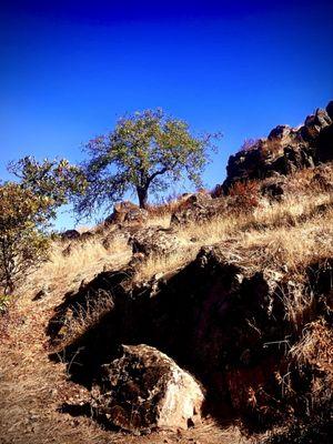 Sonoma Overlook Trail