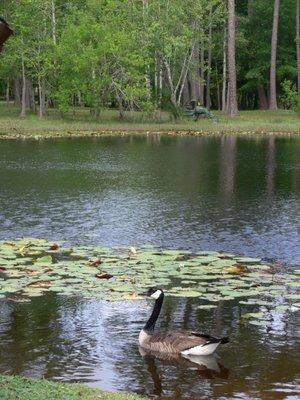 Magic River Campground