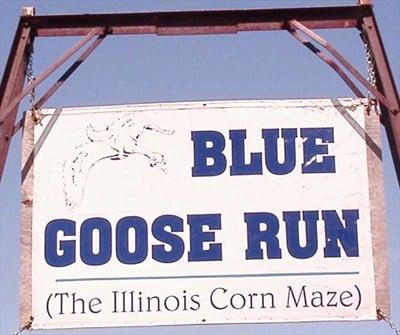 Blue Goose Run