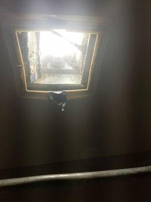 Ceiling light in bathroom