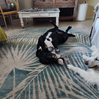 Julie & Wade Can Do It Concierge