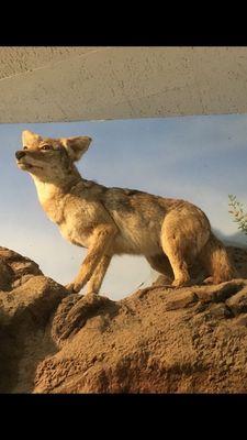 Tilden Regional Park and Environmental Educatn Ctr