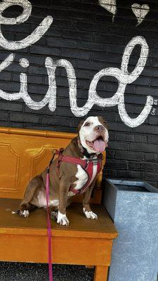 You had me at "Be Kind" painted on the outside of the hotel