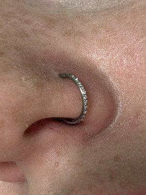 Skin Deep Tattoo & Body Piercing