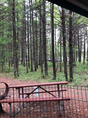 Russell Park Campground