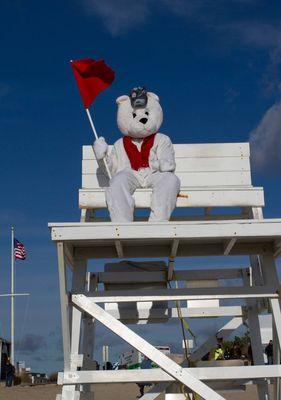 Support the Polar Bear Plunge!!