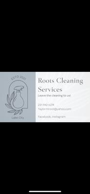 Roots Cleaning Service