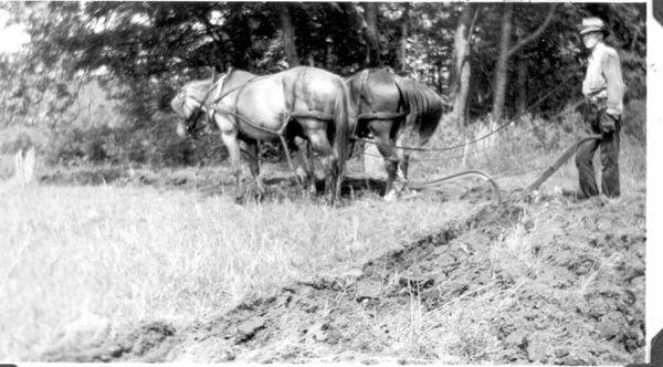 My Grandfather, William Goddard, who first lived in the Verde Valley in 1890, then moved the family and settled in Camp Verde in 1894.