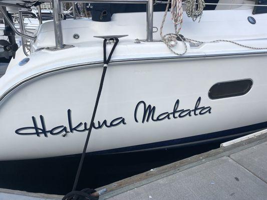 New yacht graphics