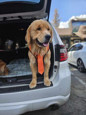 San Jacinto State Park Idyllwild Campground