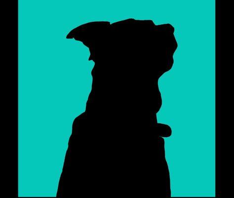 Siyra's Dog Training