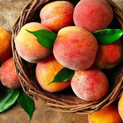 Rocky Top Fruit Farm