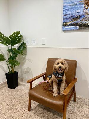 La Jolla Veterinary Hospital