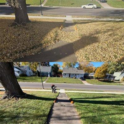 NextGen Property Solution