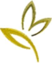 Paradise Cleaning Services