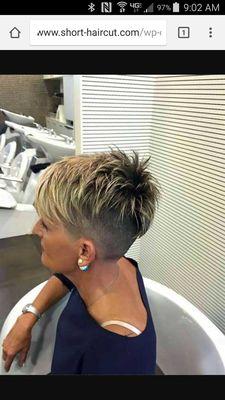 The pic at bottom is what it should have looked like.