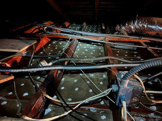 All in 1 Energy Pros