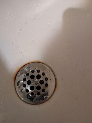 Our unclogged shower!