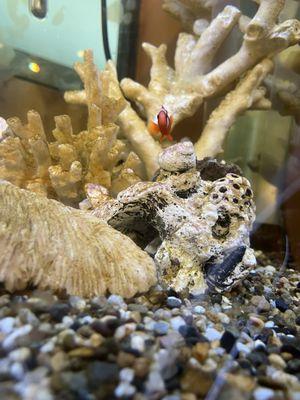 Healthy Skin Dermatology