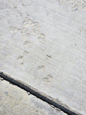 JT Hoover Concrete Contractor