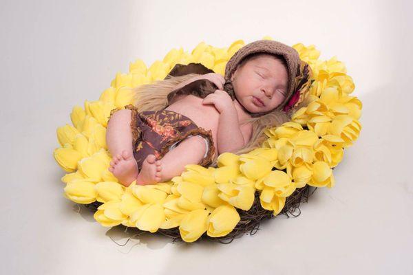 HP Electrical & Electronics Services