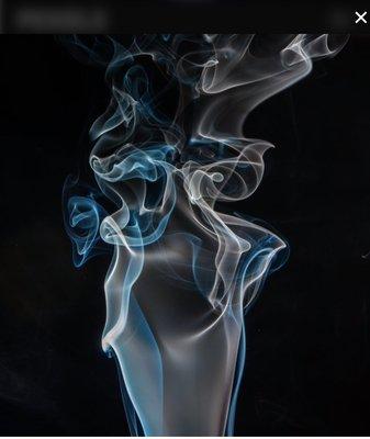 Bees Smoke Shop