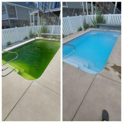 Dive In Pool Service