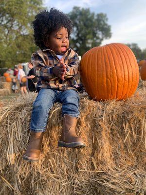 Protect your future. Call us about Life Insurance today.