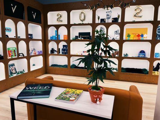 Voltaire Cannabis Dispensary Mt Holly