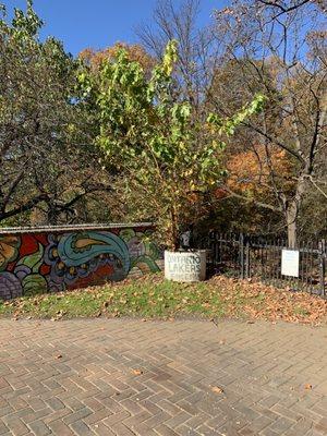 Walter C Pierce Community Park