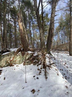 Hans Morris Reservation