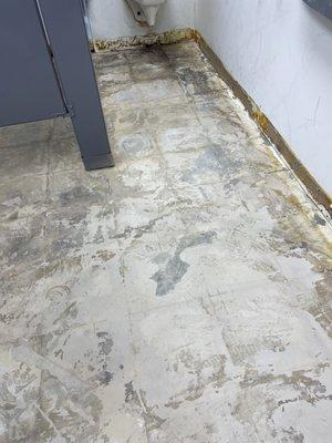 Gvc Premier Services