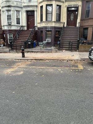 Williamsburg Garden Company