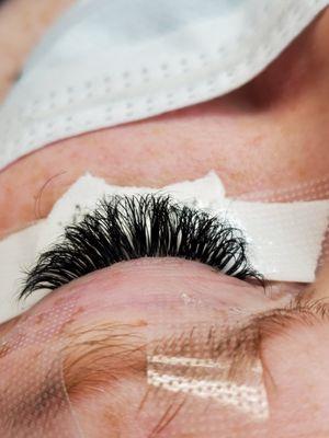 Suite Styles By LilliAnn