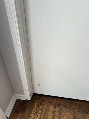 Two Men and a Truck Moving