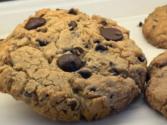 Chocolate chip cookie