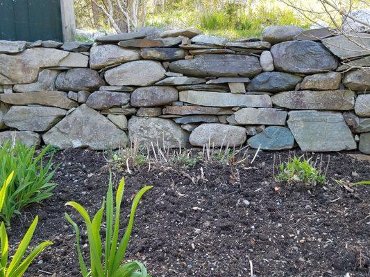 Coastal Stone