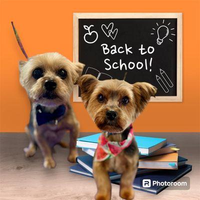 Barkmore Inn & Salon