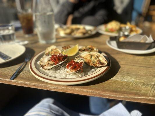 Oyster sampler