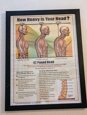 Kelly Wellness & Chiropractic